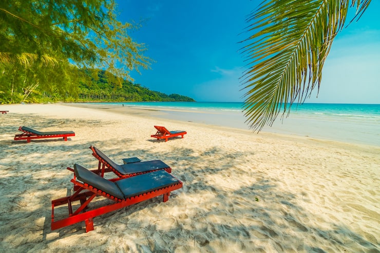 Beach & Vacation